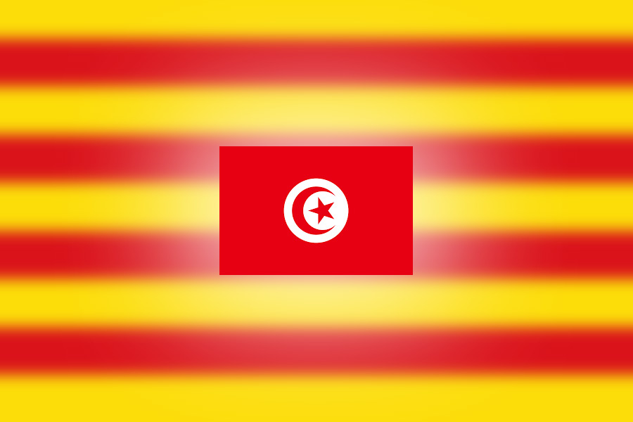 deslocalizacion a tunez